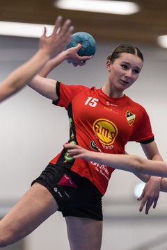 Bild 305 - wCJ TSV Ellerbek - AMTV Hamburg 2 : Ergebnis: 25:20